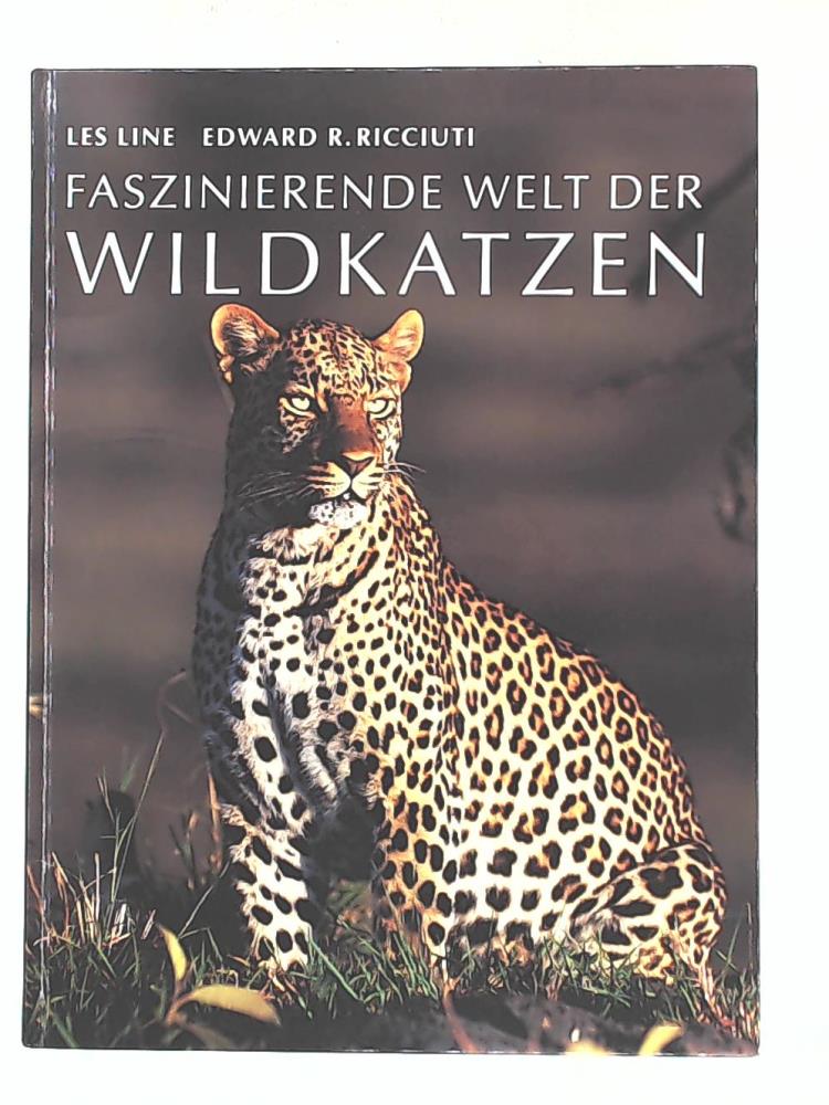 Ohne Bild