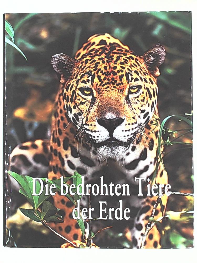 Ohne Bild