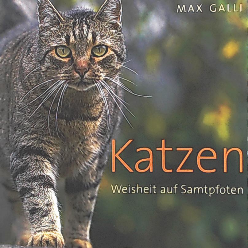 Ohne Bild