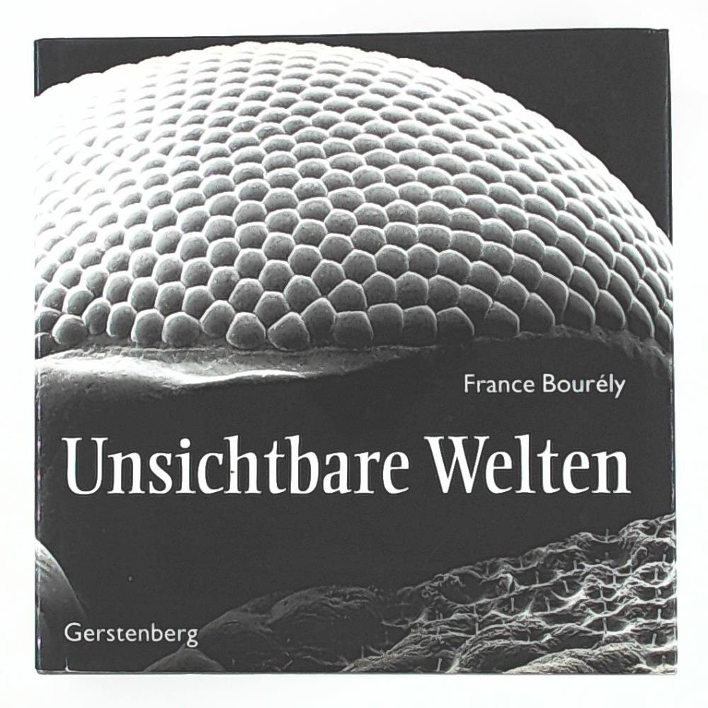 Ohne Bild