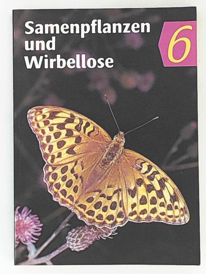 Ohne Bild