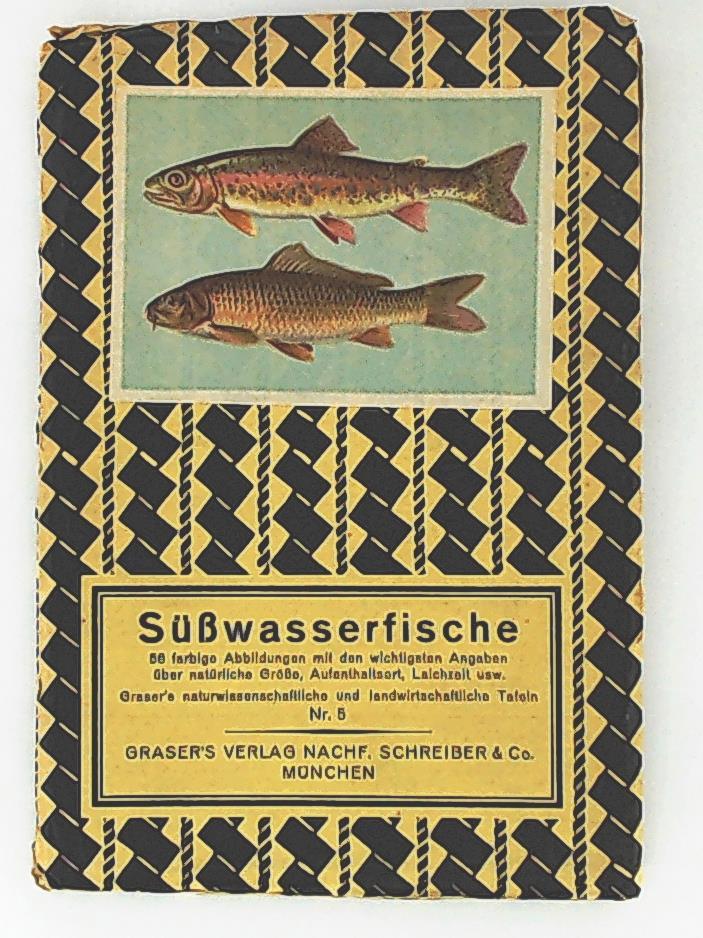 Ohne Bild