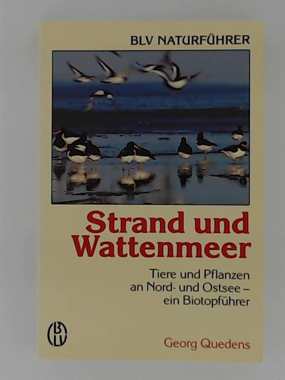 Ohne Bild