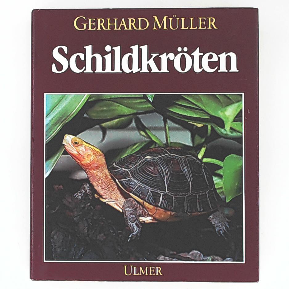 Ohne Bild