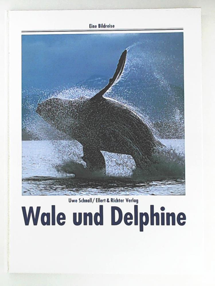 Ohne Bild